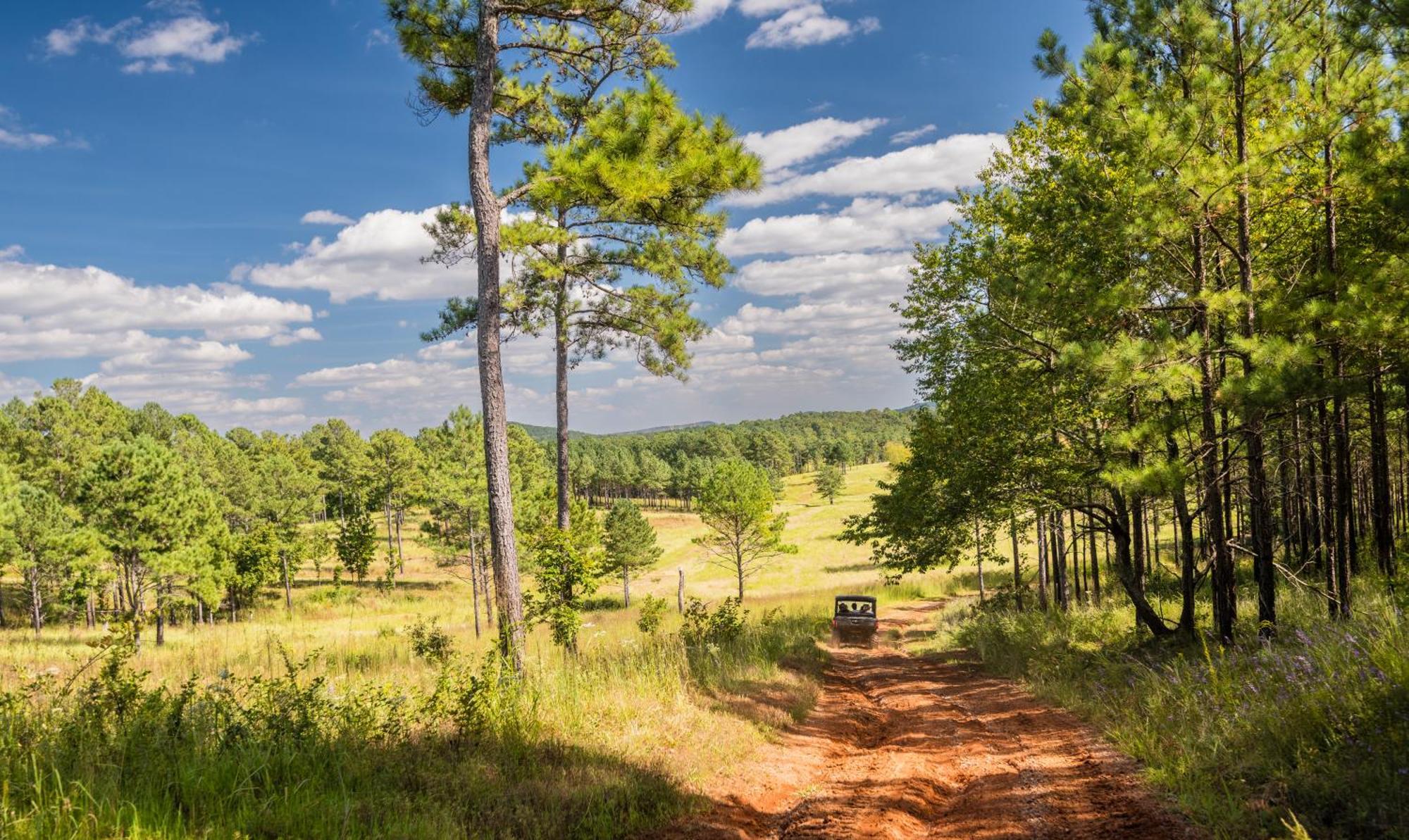 Barnsley Resort Адайрсвилл Экстерьер фото